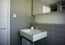 Grey bathrooms?