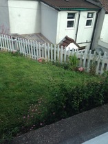 Can you help with our front garden please? (Pictures included)
