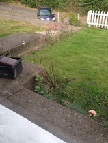 Can you help with our front garden please? (Pictures included)