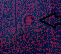 creepy AIBU