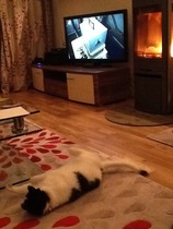 Log burning stoves.  Ever regretted yours?