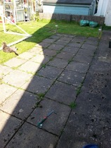 Grass/weeds in between slabs & paving