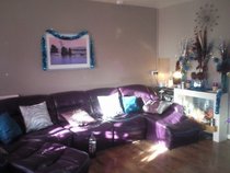 To consider buying a white leather couch?
