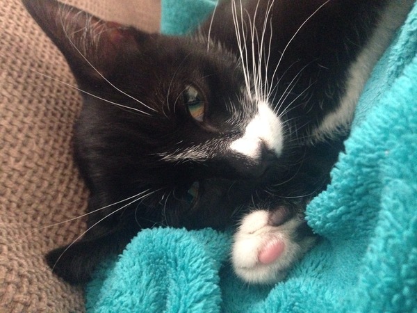 To just lie here in my dressing gown