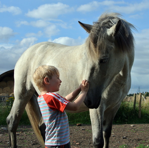 just wanted to share some pics of my DS and DPony