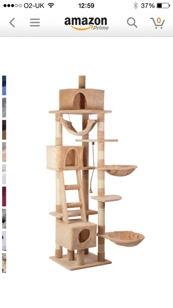 New cat tree on the way for Loki!
