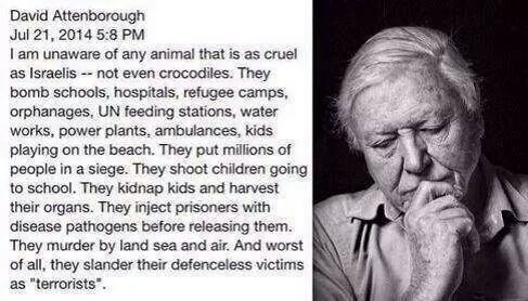 Part 4: Israeli-Palestinian conflict