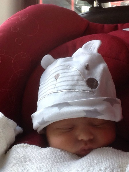 September 2014 - Babies are starting to make an appearance!