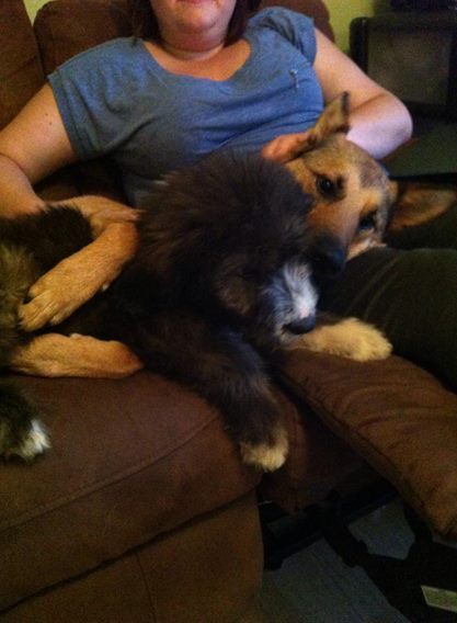 New puppy mummies