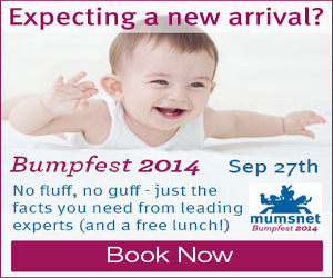 Pregnant Or Just Had A Baby? Bumpfest Is Coming To London On 27th September 2014!  33% Discount For Booking With Mumsnet Merton-Specific Codes!