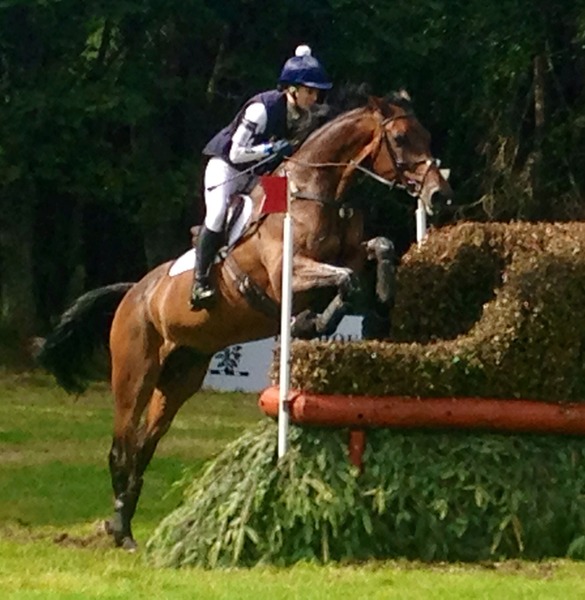 The Brave Babes Battle Bus - In Search Of Sobriety, Sunshine & Survival!