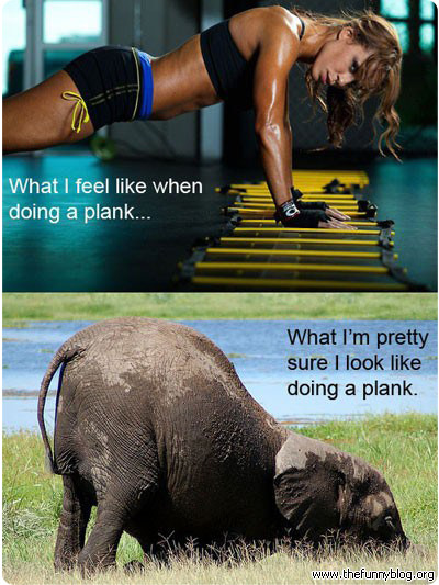 Right, what exercise should I do about my fat tummy?