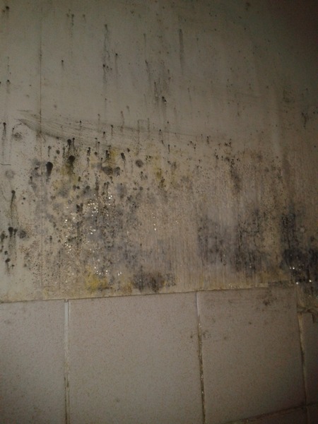 Help and advice needed regarding housing