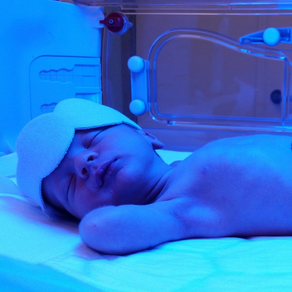 September 2014- will there be any babies yet??