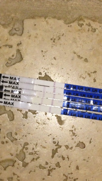 TTC #1 hoping for BFP before xmas.