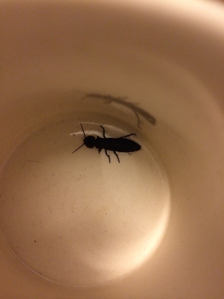 To be freaked out my this beast!