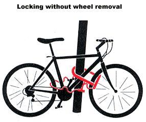 Okay, I have bought a bike, any tips for a newbie?