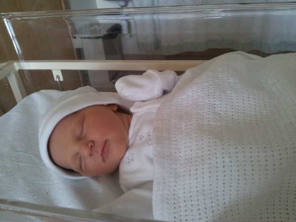 September 2014- will there be any babies yet??