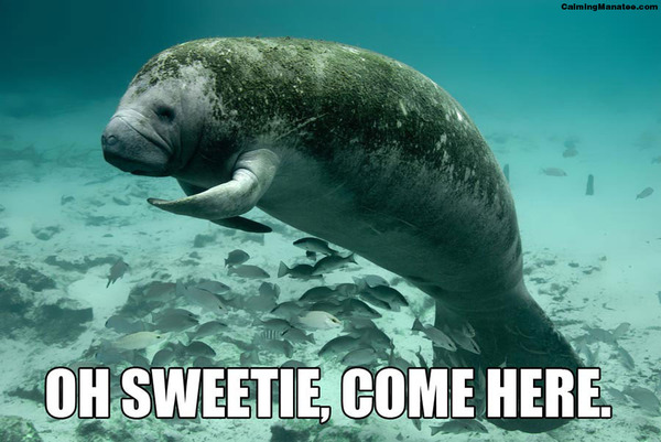 this bloody 'hand holding' shit that is going on here