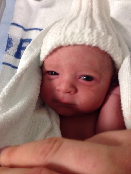 September 2014 - Babies are starting to make an appearance!