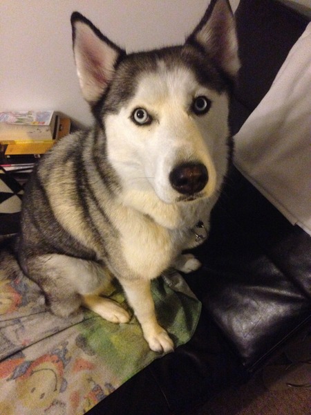 Keeping a small eye on Sunday/Mondays weather