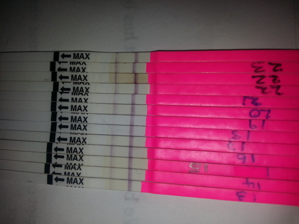 TTC after a MC (I'm really rubbish at thread titles sorry)