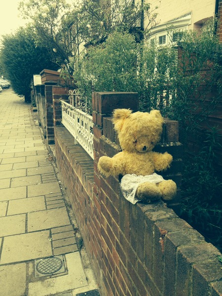 Lost teddy bear in richmond!