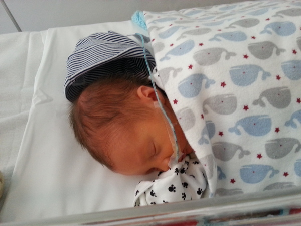 September 2014 - Babies are starting to make an appearance!