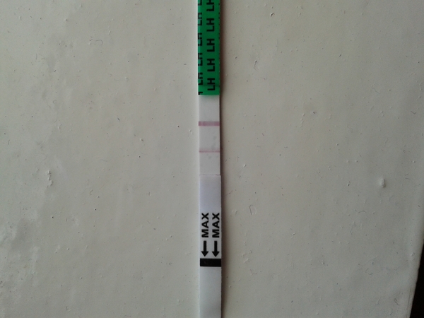 Get your cape on, get your cape on! Don't come knockin if the tent's a rockin, but pee on a snake instead - It's just shagging part 27