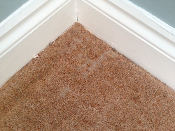 Why is it a good idea to have wool in carpets?