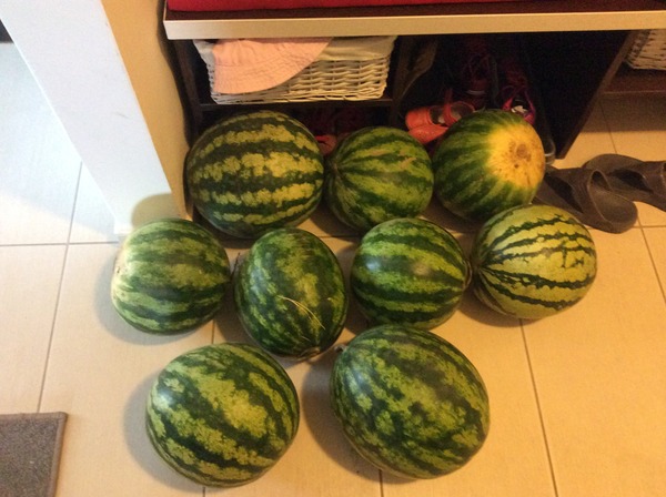 November 2012 - Bring out the paddling pools