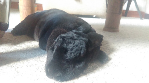 The 'Umm newbie'/ 'Thread maxed out' lovely ladies!