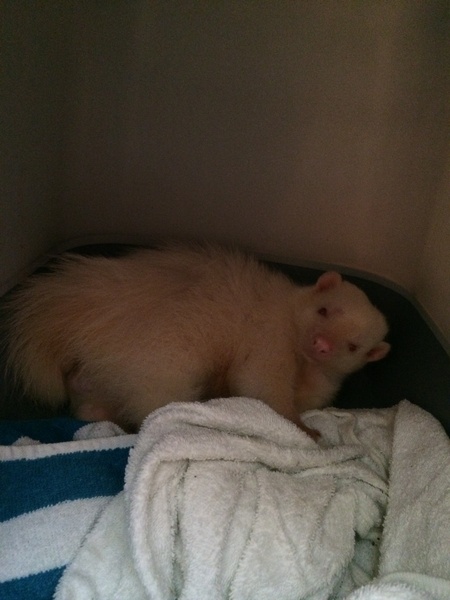 December 2011 - the one where we do the Twist and Shout