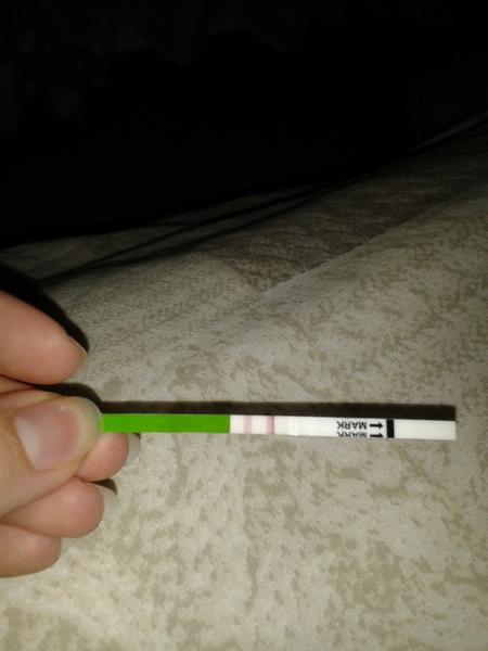Emergency bus for August! Penis dragons welcome, summer loving continued!