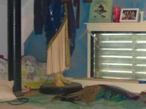 So this house has just turned up on my Facebook.........
