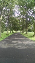 Looking for a family friendly Saturday activity? Come join in with the St Gemma's Happy Walk