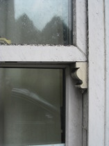 Heartfelt plea not to remove sash windows
