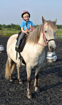 just wanted to share some pics of my DS and DPony
