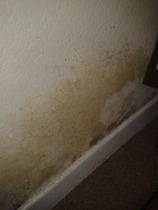 Help and advice needed regarding housing