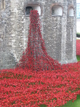 D'ya ever wonder... [enter witty phase here]