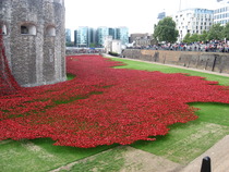 D'ya ever wonder... [enter witty phase here]