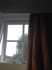 Help me find this curtain rail - only seen in Switzerland!!