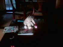 Lost Toy Rabbit