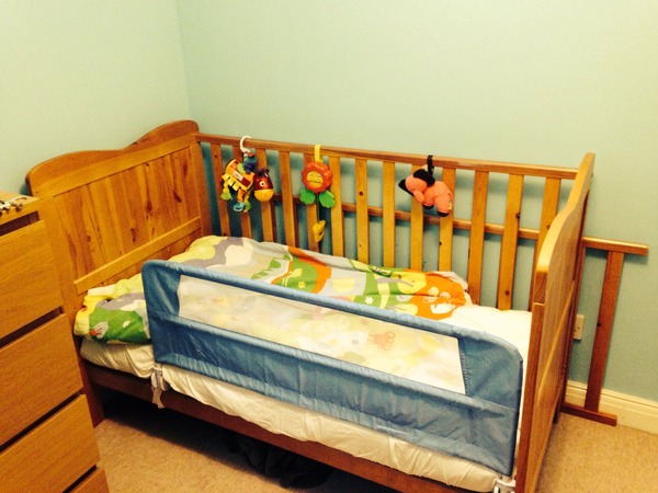 March 2013- the one where plonk gets married!