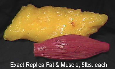 To think Prejudice against fat people is NOT as bad as racism.