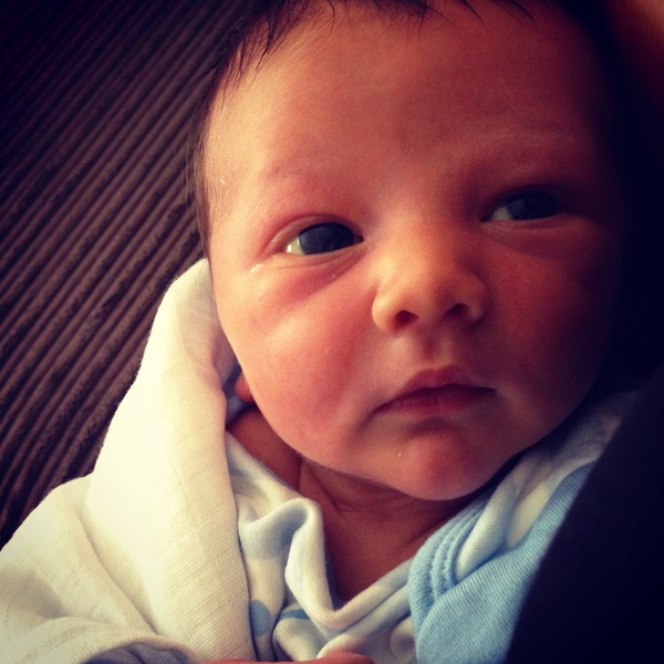 September 2014 - Babies are starting to make an appearance!