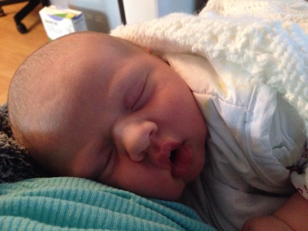 September 2014 - Babies are starting to make an appearance!