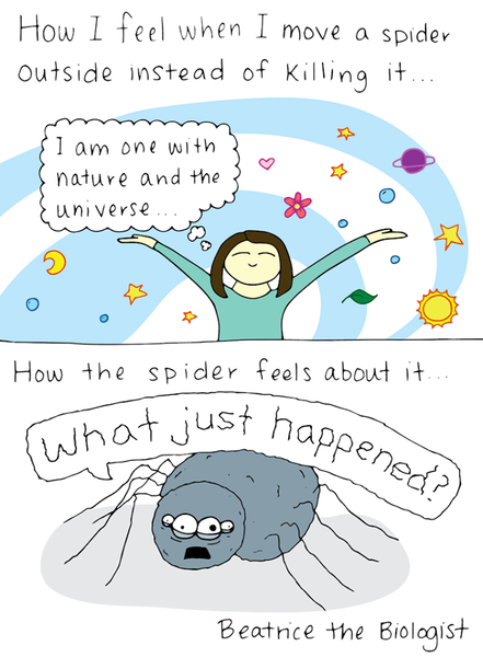To be sick of feckin spiders!