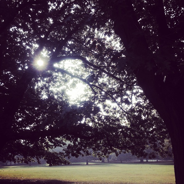 Runners thread number 7