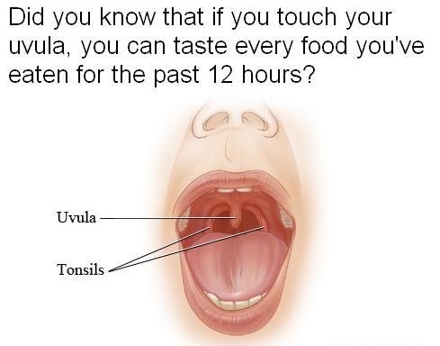 Life "hacks" - ways you secretly stay ahead of the pack?